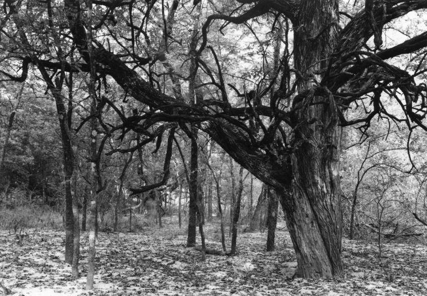 Old Osage