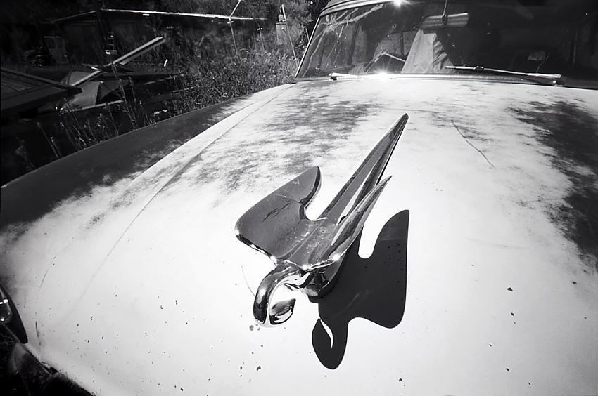 Old Packard, Spray, OR