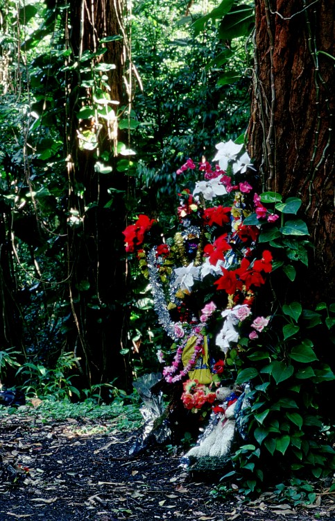 Old Pali Road