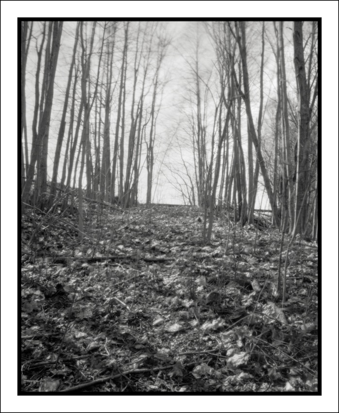 Old Path (pinhole)