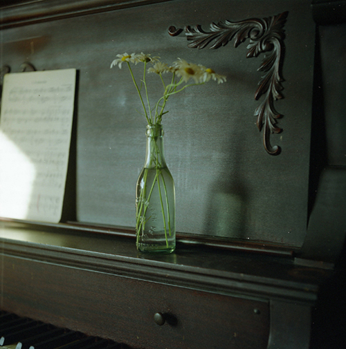 Old piano & daisies