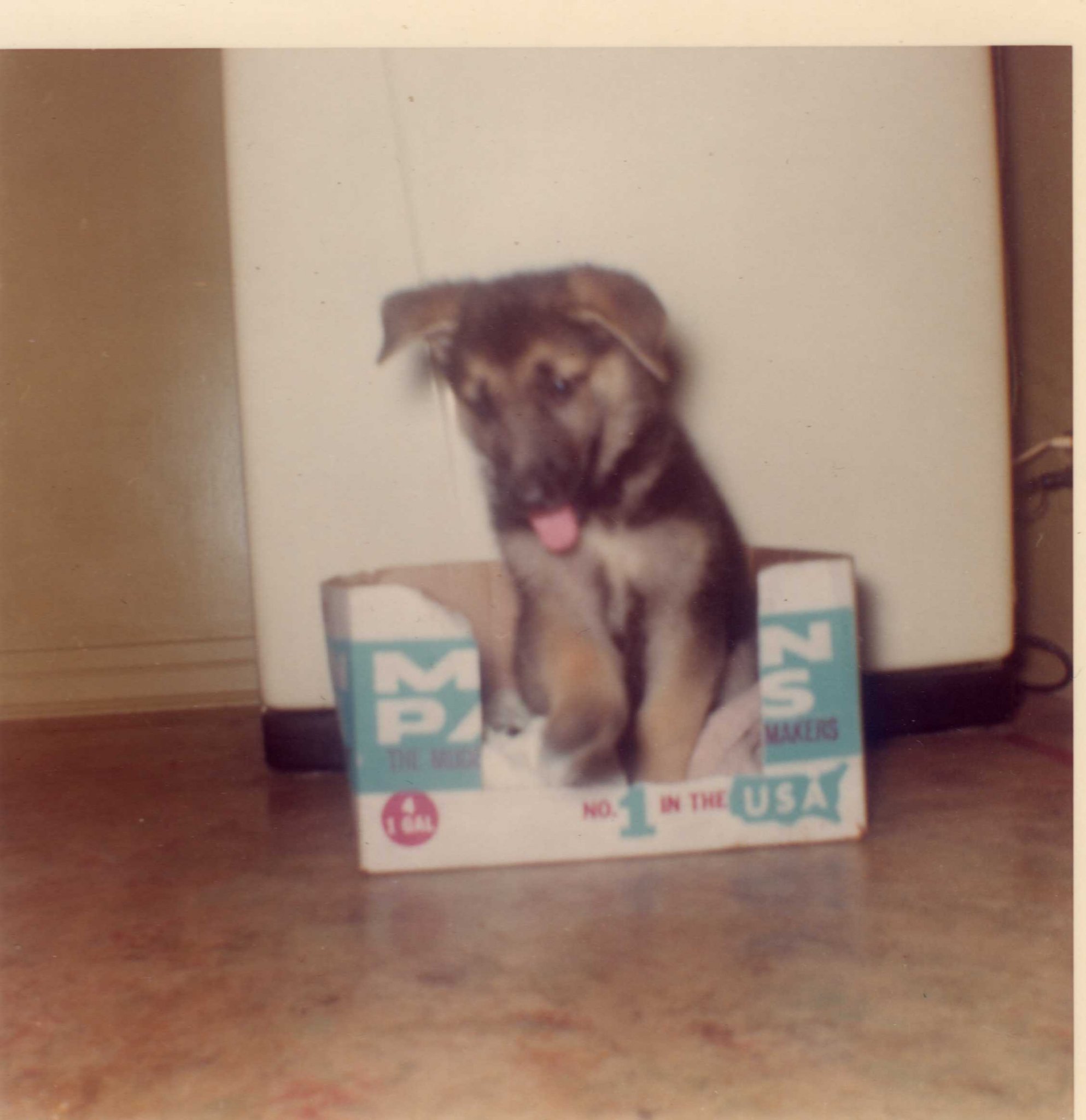 Old Pictures142