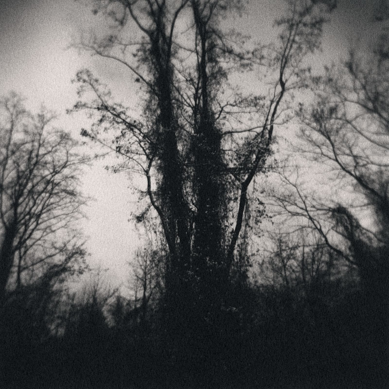 old schwurhand, carbon toned Art 300