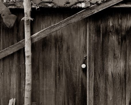 Old Shed Out Back