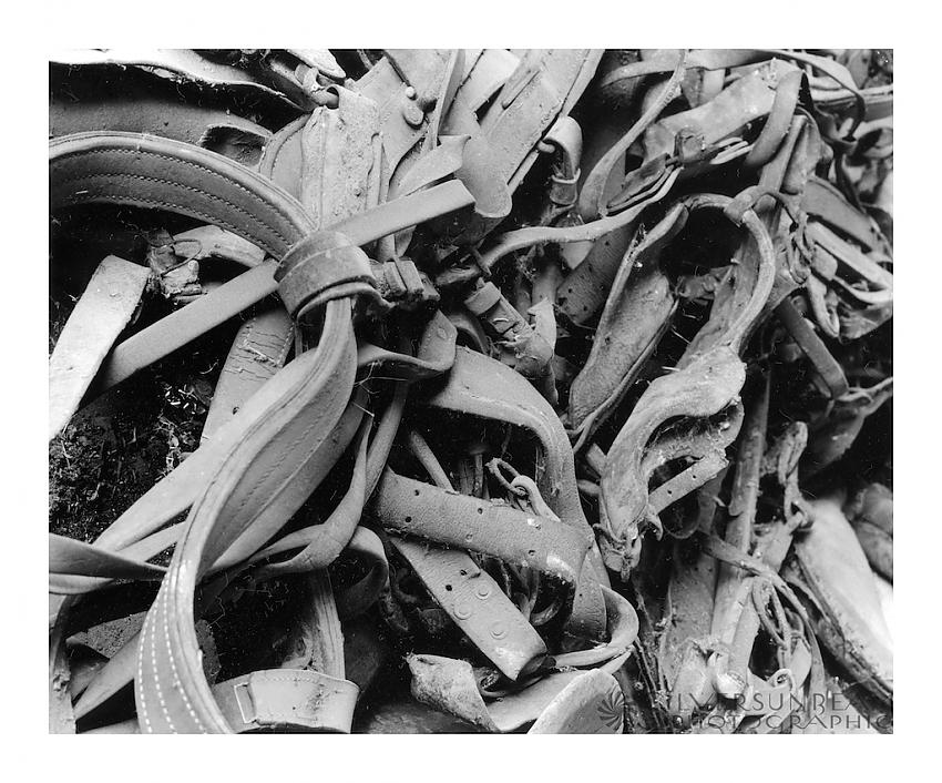 Old Tack #1