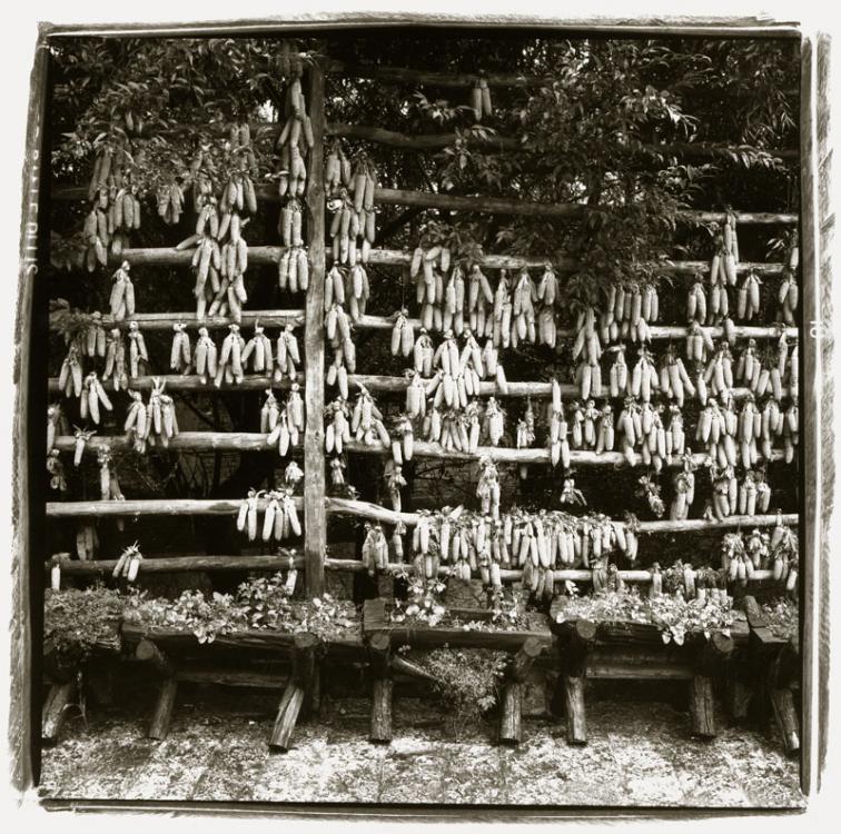 Old Town, Lijiang (corn)