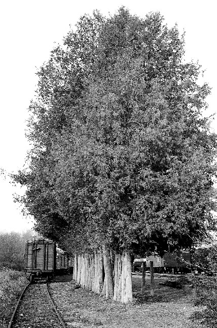 Old Uxbridge Train Station