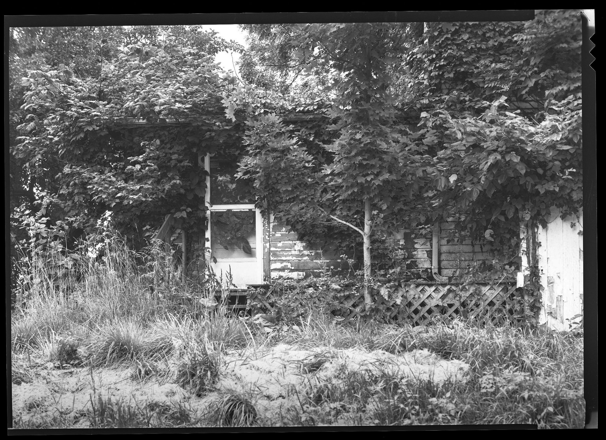 OldHouse2