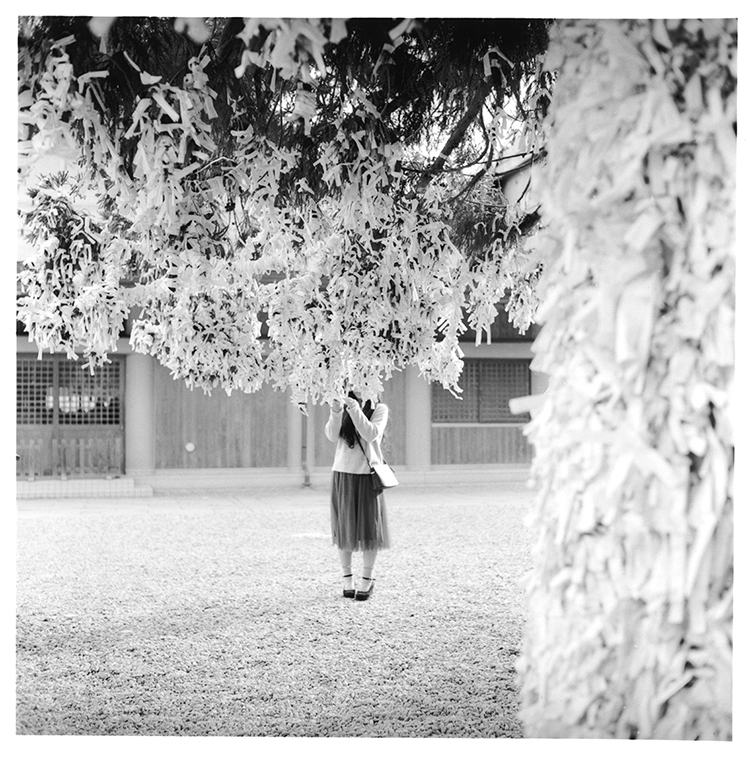 Omikuji Tree