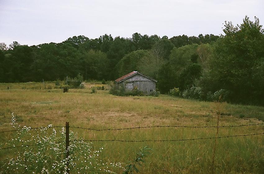 On a walk with my wife