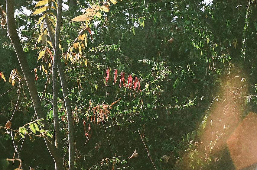 On a walk with my wife