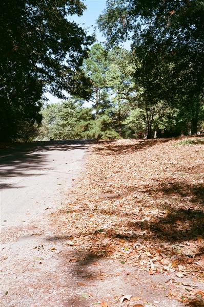 On a walk with my wife