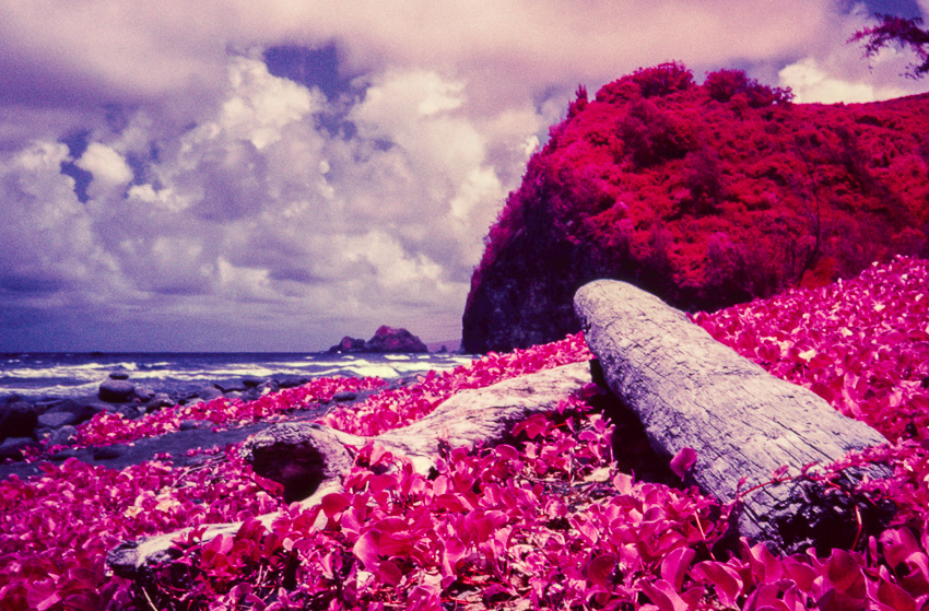 On an island far away
