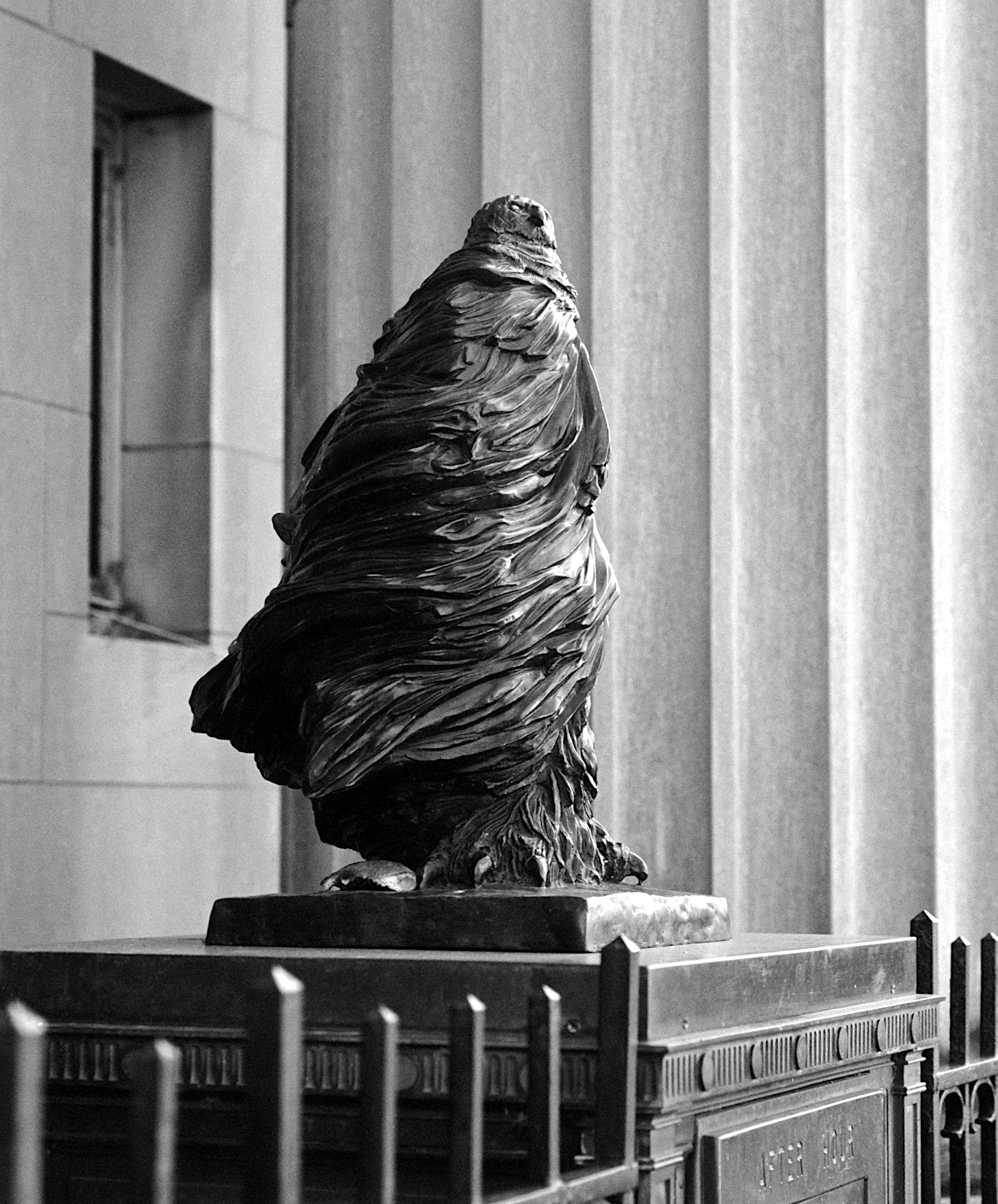 On Guard - From MSA 10/2025, Birds