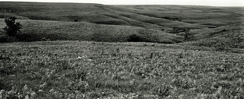 On Road CR-2, Greenwood County