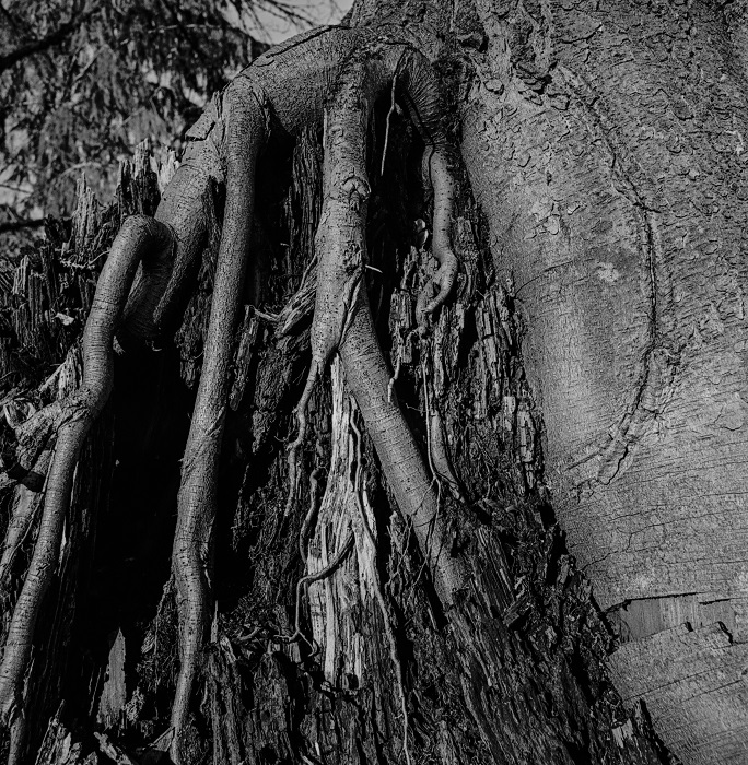 On Shoulders of Giants 2