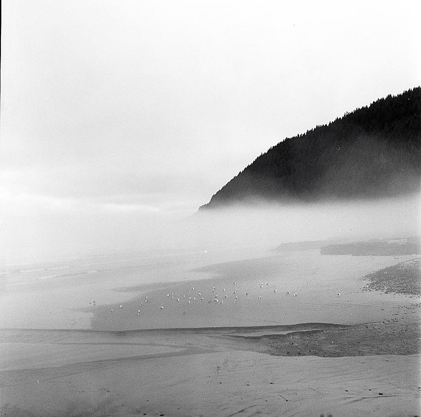 On the Beach, Yachats