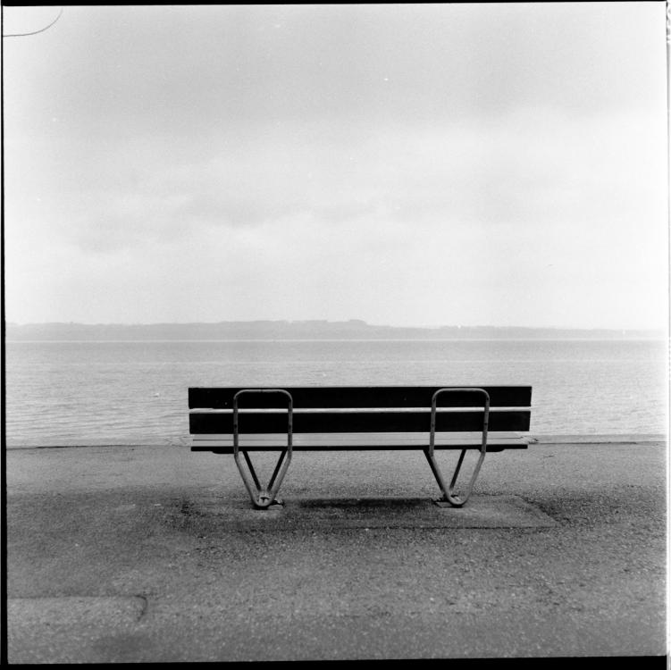 On The Shore Of Lake Neuchâtel - Switzerland