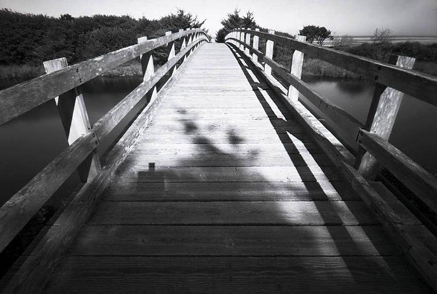 Ona Beach Bridge