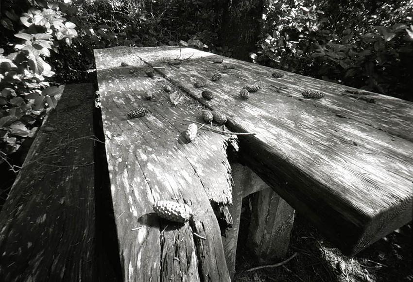 Ona Beach Bridge