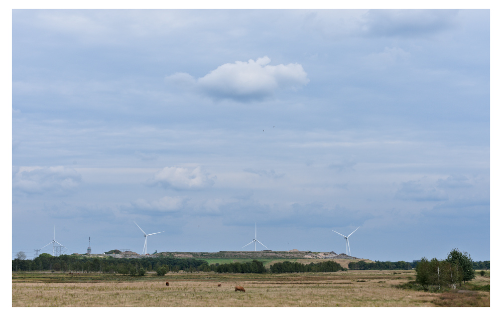 One cloud, four windmills