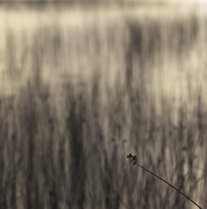 One (Print)