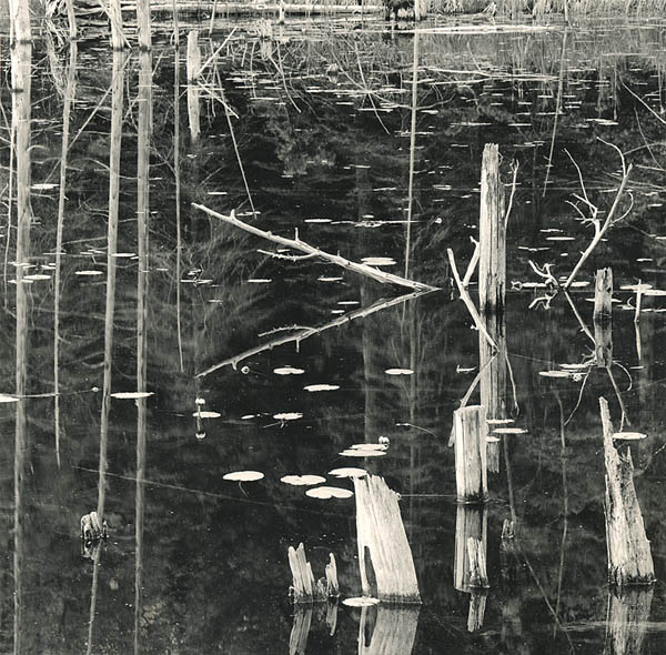 O'Neal Lake, Photostock 2009