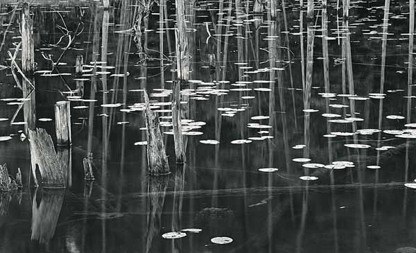 O'Neal Lake