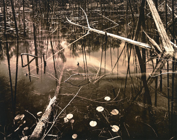 O'neil Lake 3 In Lith