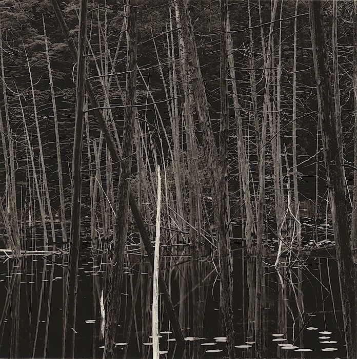 O'Neil Lake 4
