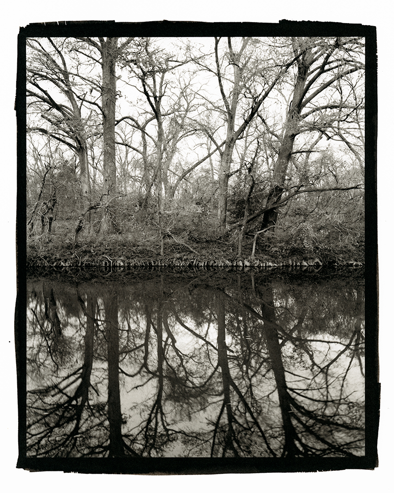 Onion Creek Reflection