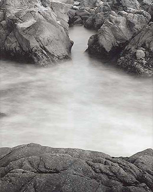 Open Cove