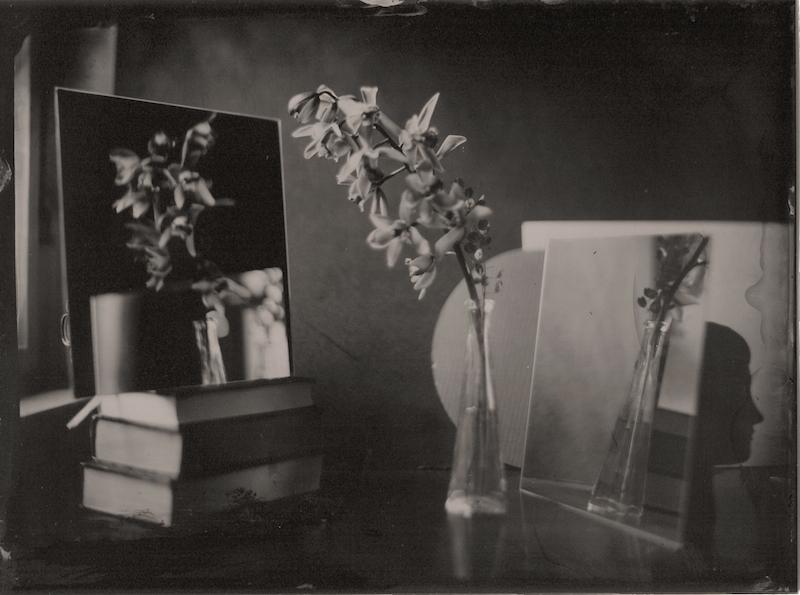 Orchid and mirrors