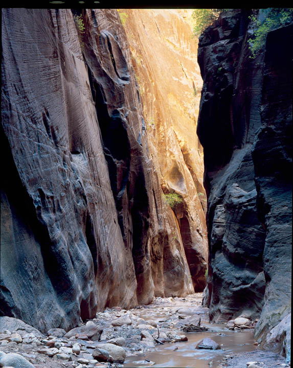 Orderville canyon - Zion Nat. Park