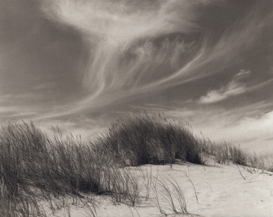 Oregon Dunes