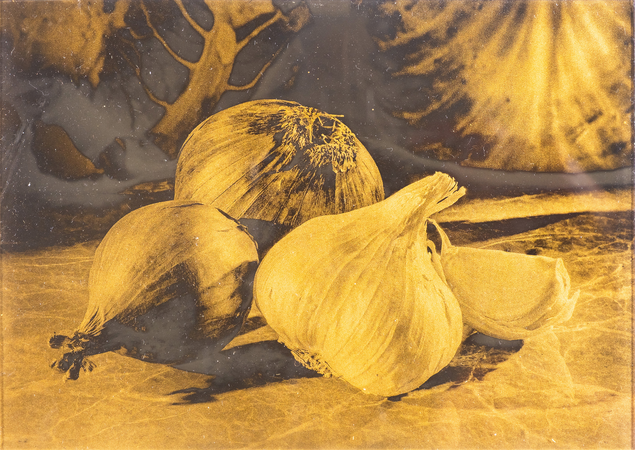 Orotone - Garlic and Friends