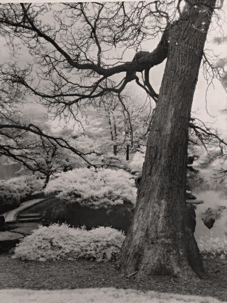 Osaka Garden IR