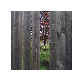 Other_side_of_the_fence_2009