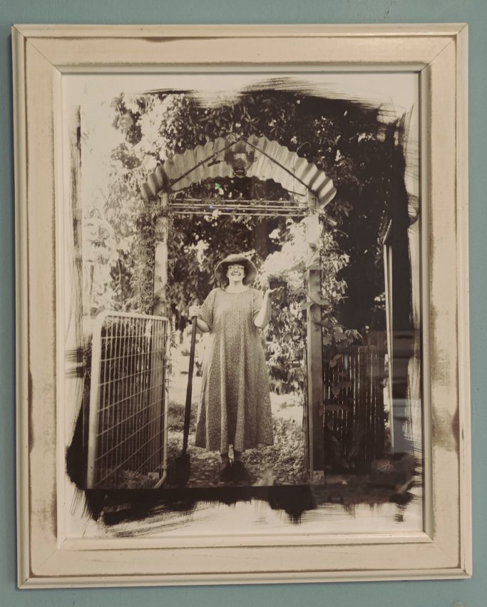 Our Lady of the Arbour