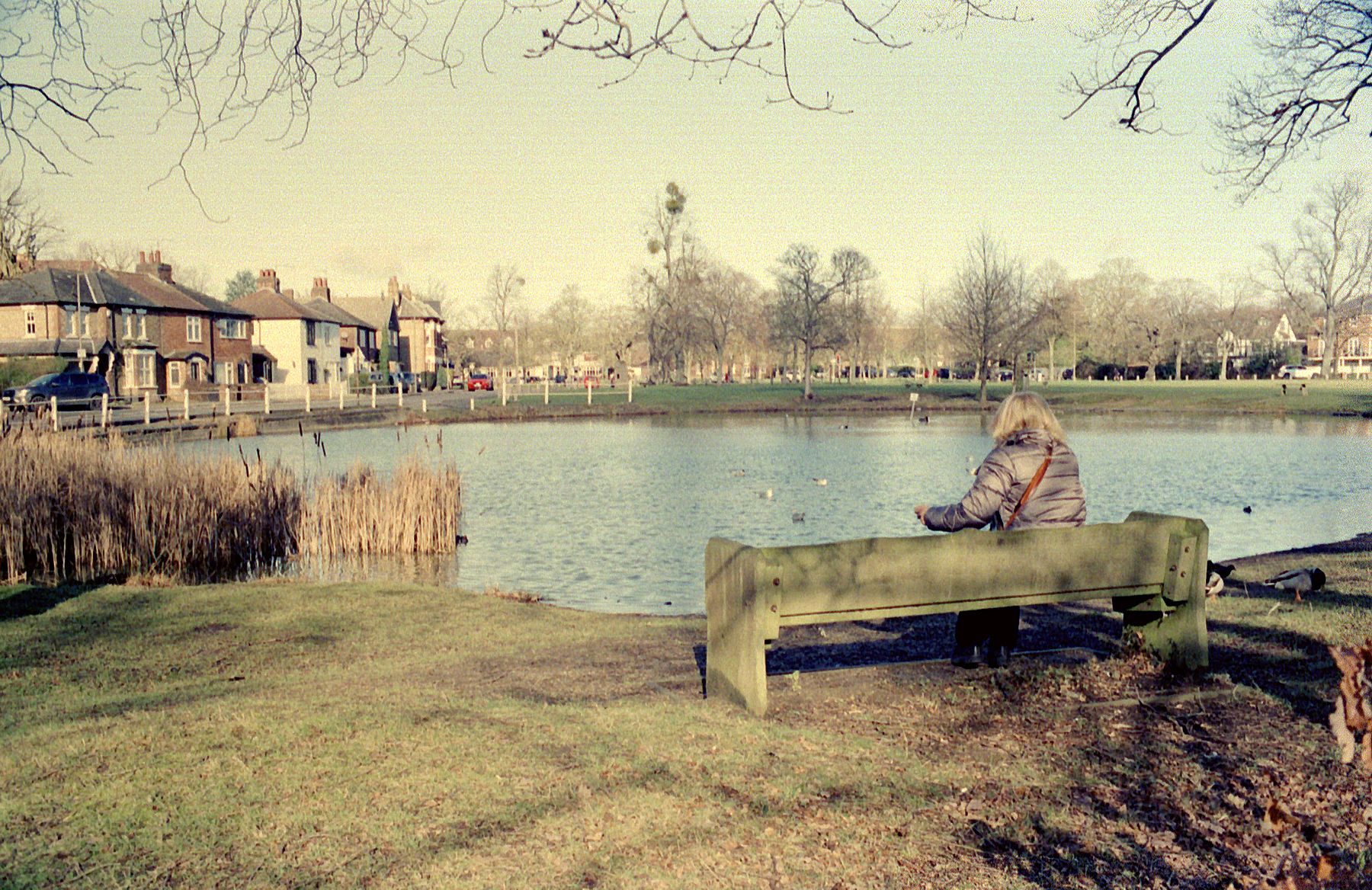 Our Town Pond