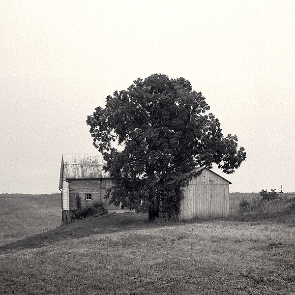Out Buildings, Fairview Fruit Farm Rd