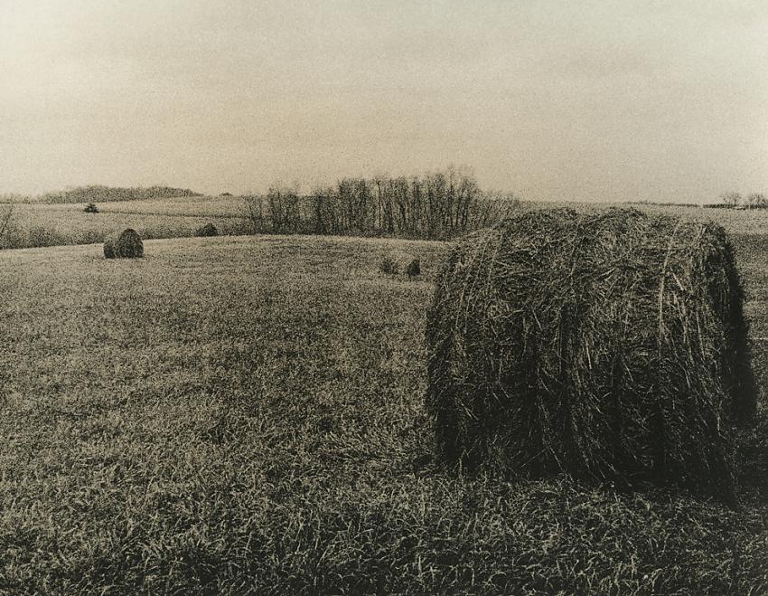 Out On The Farm
