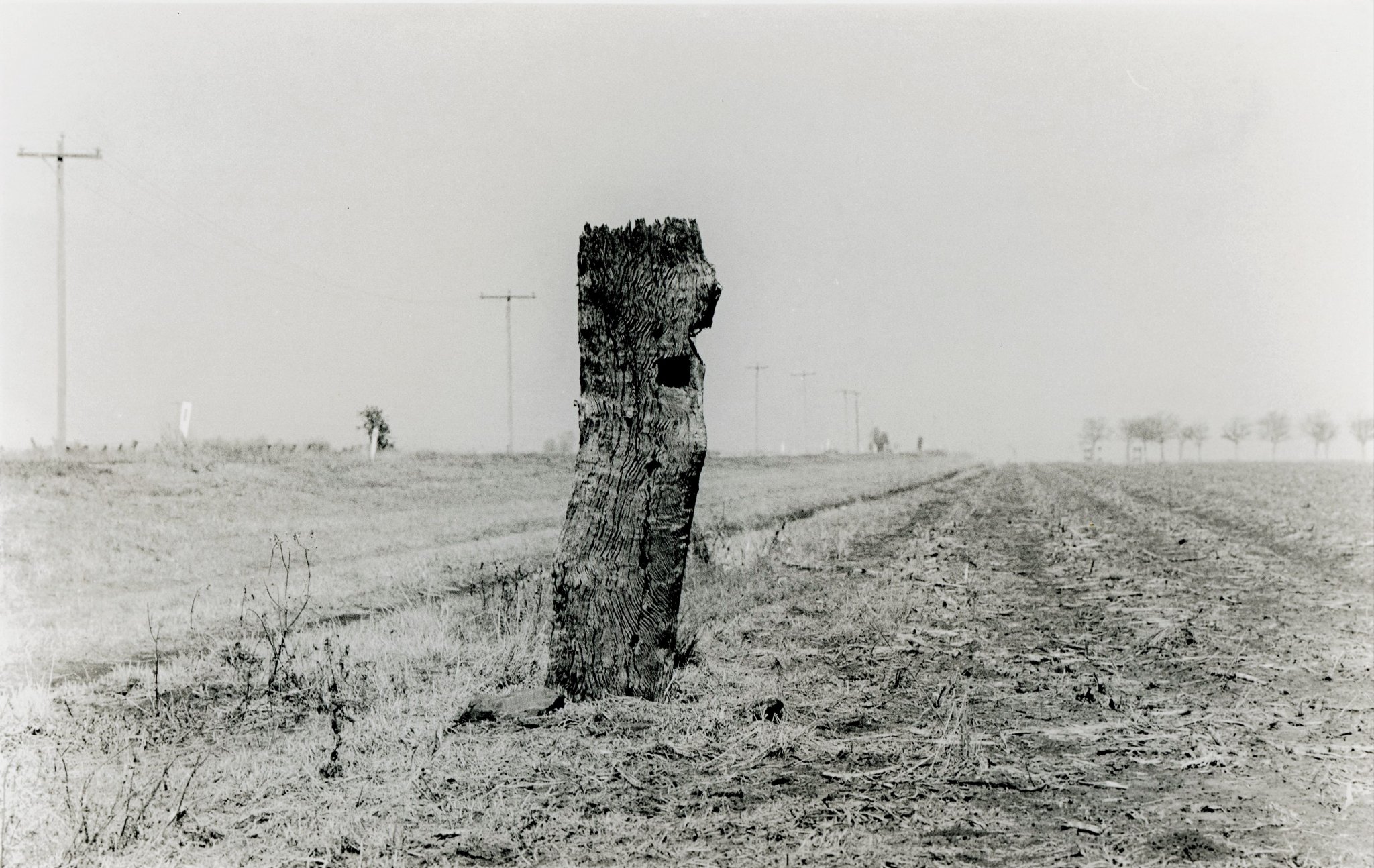 Out past the Black Stump.