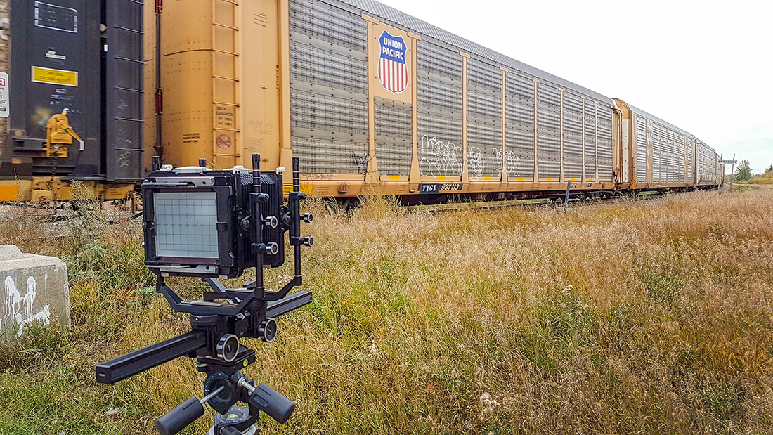 Out with Cecil today