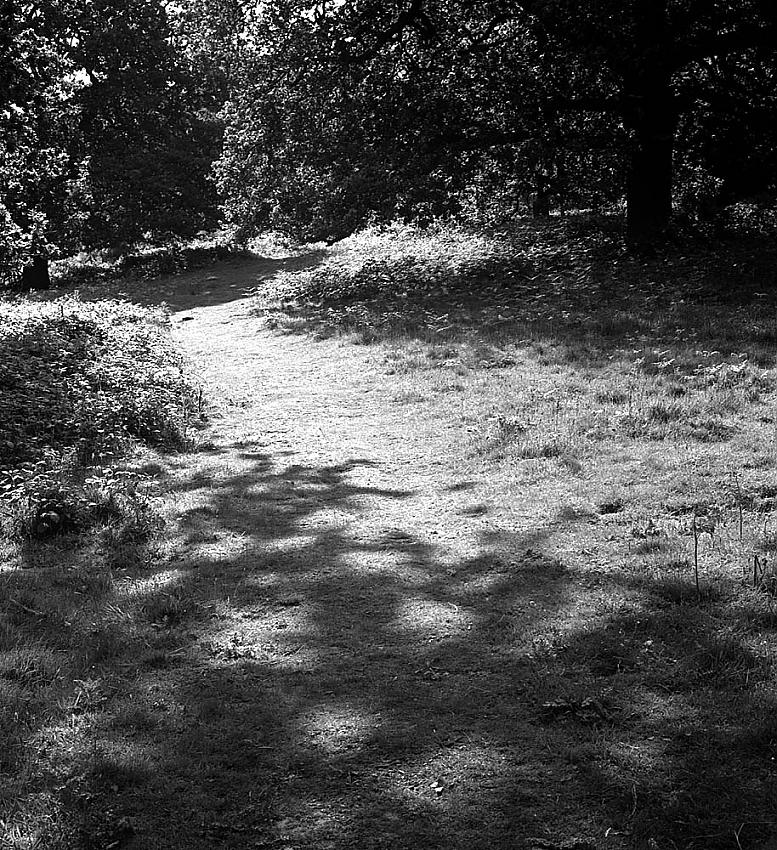 Outing with 1962 ROLLEIFLEX 3.5 E-3 Planar