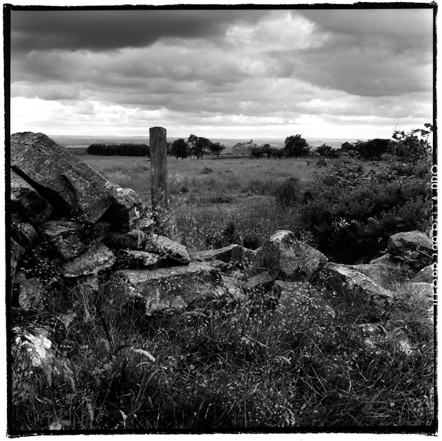 Overcast