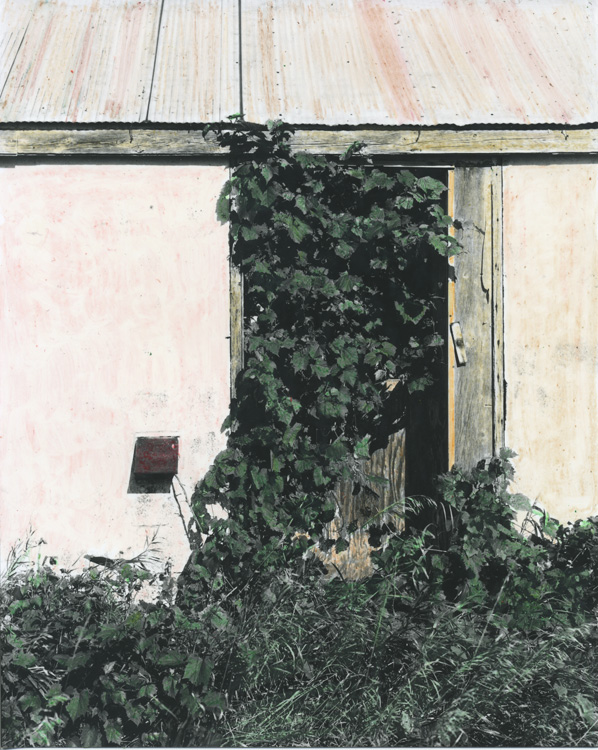Overgrown Milkhouse Door