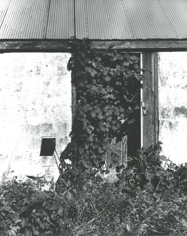 Overgrown