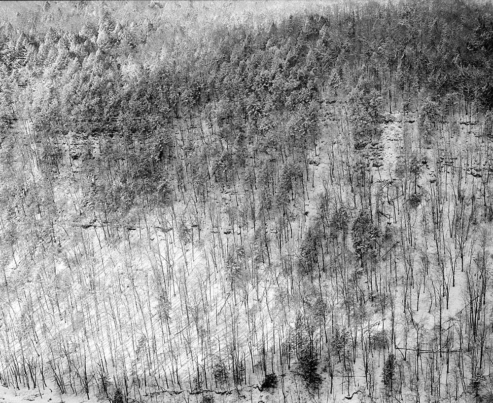 Overlook at Leonard Harrison State Park