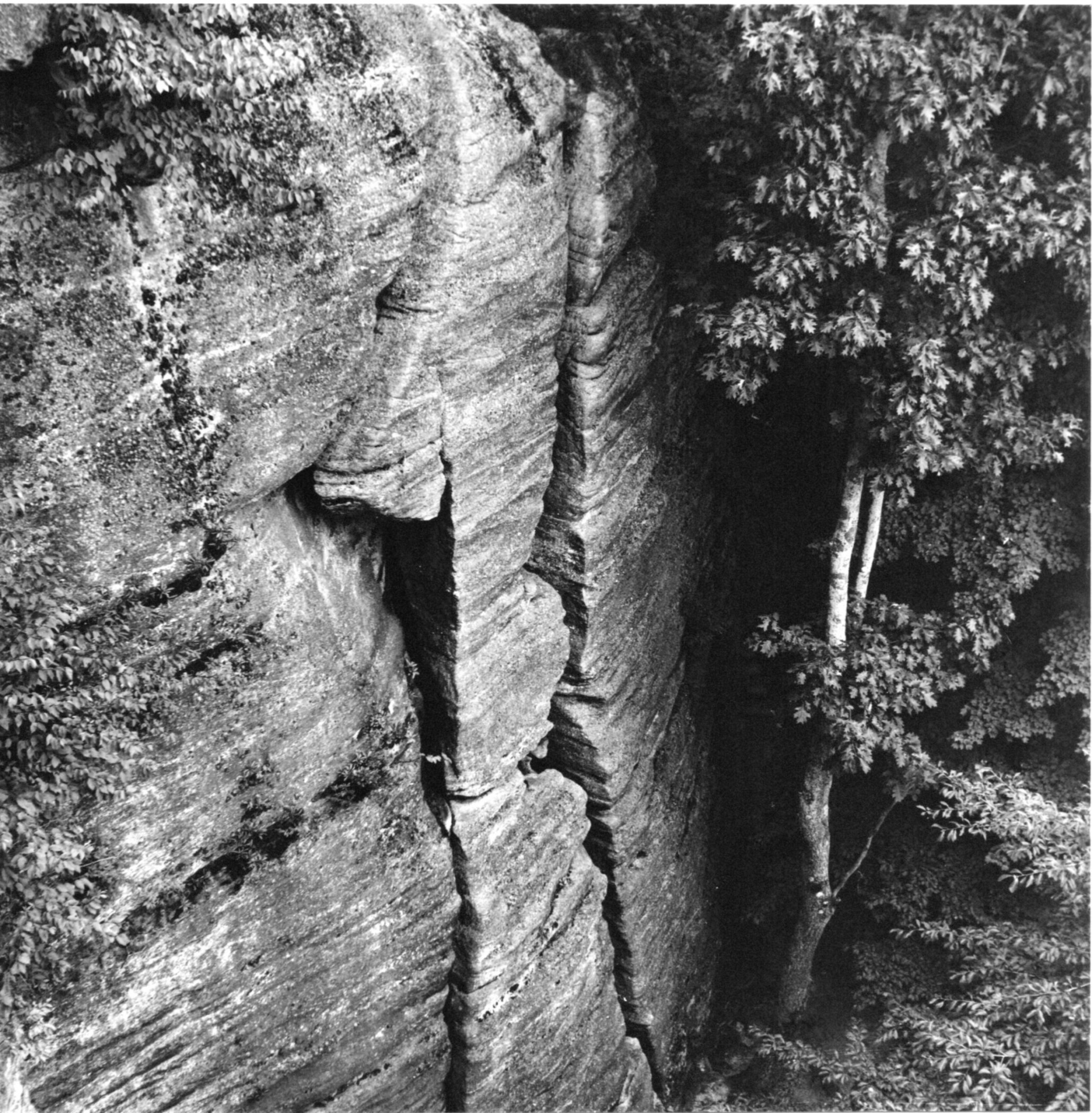 Overlook